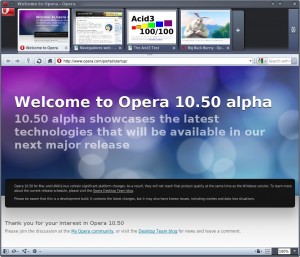 Opera 10.5 GNU/Linux - Snapshot 6225