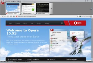 Opera 10.51 GNU/Linux